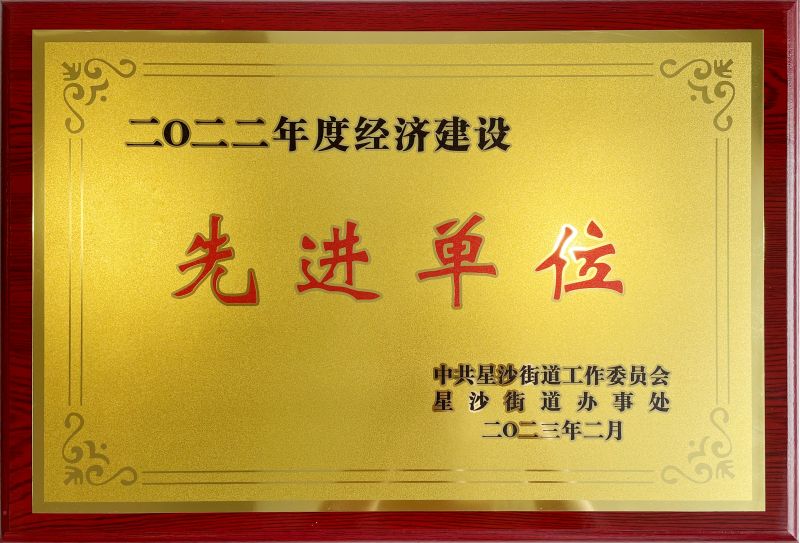 2022年度经济建设先进单位称号